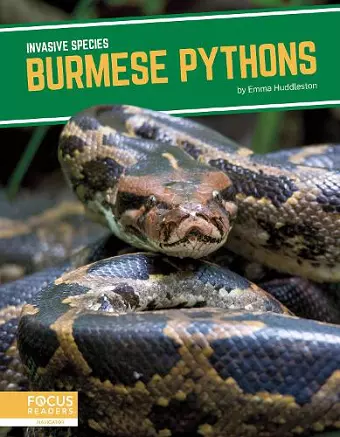 Burmese Pythons cover