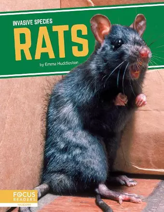 Invasive Species: Rats cover