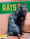 Invasive Species: Rats cover