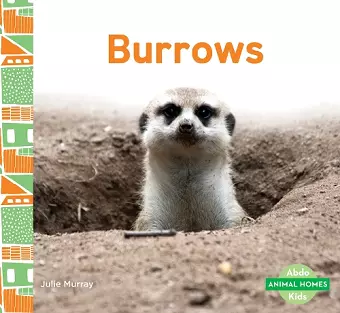 Burrows cover