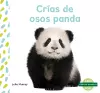 Crías de osos panda (Panda Cubs) cover