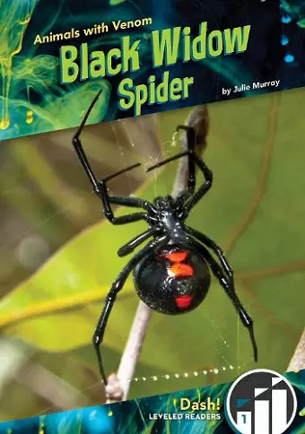 Black Widow Spider cover