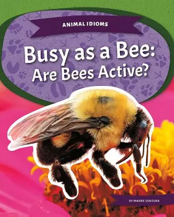 Busy as a Bee cover