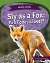 Sly as a Fox cover