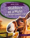Animal Idioms: Stubborn as a Mule: Are Mules Headstrong? cover
