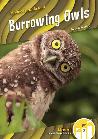 Burrowing Owls cover