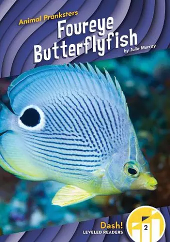 Foureye Butterflyfish cover