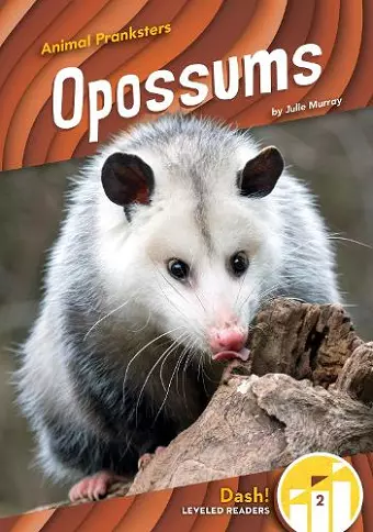 Opossums cover