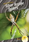 Silver Argiope Spiders cover