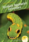 Spicebush Swallowtail Caterpillars cover