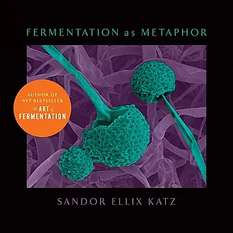Fermentation as Metaphor cover