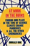 At Work in the Ruins cover