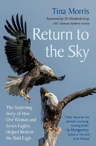 Return to the Sky cover
