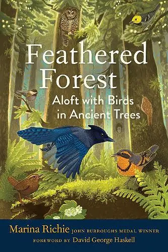 Feathered Forest cover