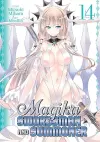 Magika Swordsman and Summoner Vol. 14 cover