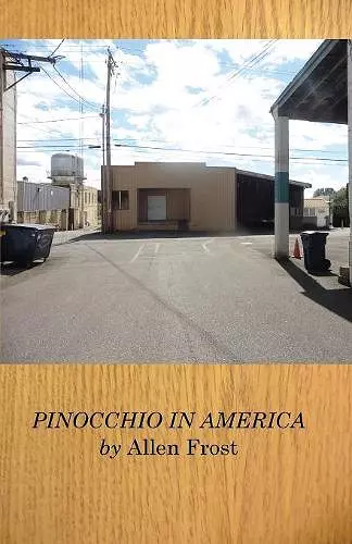 Pinocchio in America cover