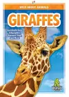 Giraffes cover