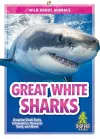 Great White Sharks cover