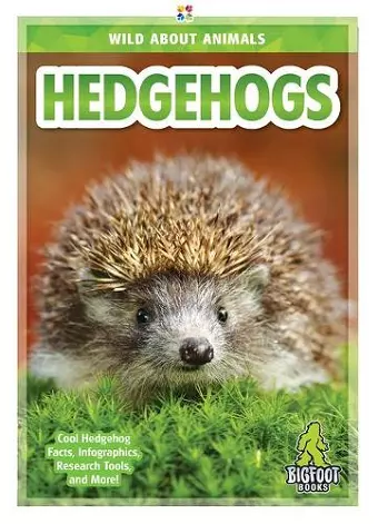 Hedgehogs cover