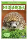 Hedgehogs cover