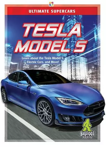 Tesla Model S cover