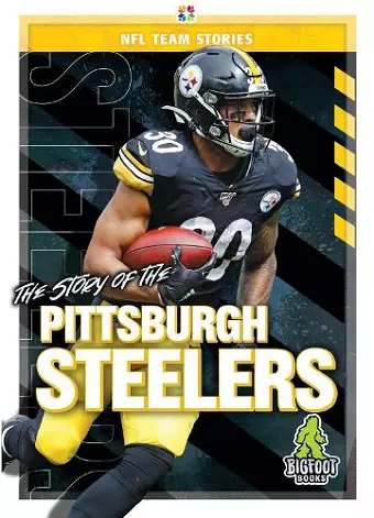 The Story of the Pittsburgh Steeler cover