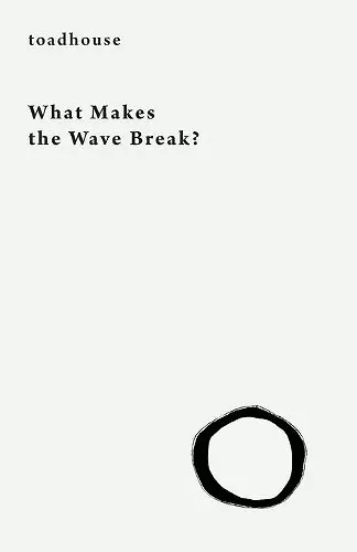 What Makes the Wave Break? cover
