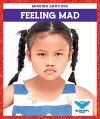 Feeling Mad cover