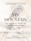 Yin Mountain cover