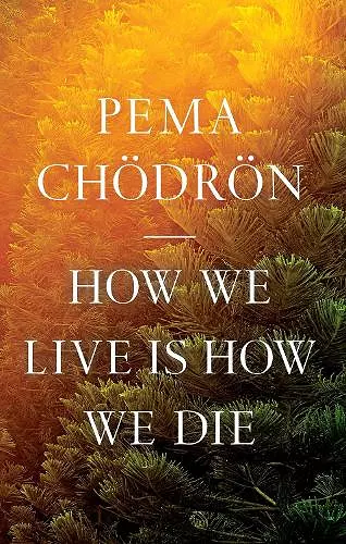 How We Live Is How We Die cover