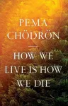 How We Live Is How We Die cover
