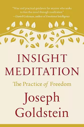 Insight Meditation cover