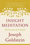 Insight Meditation cover