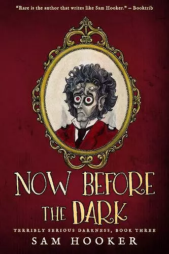 Now Before the Dark cover