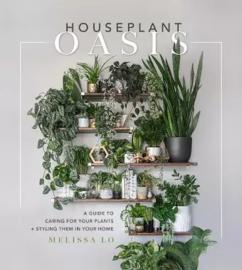 Houseplant Oasis cover
