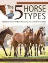 The 5 Horse Types cover