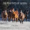 The Wild Boys of Skydog cover