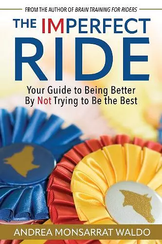 The Imperfect Ride cover