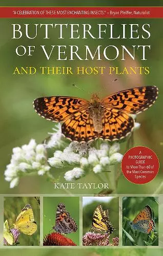 Butterflies of Vermont cover