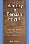 Identity in Persian Egypt cover