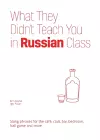 What They Didn't Teach You in Russian Class cover