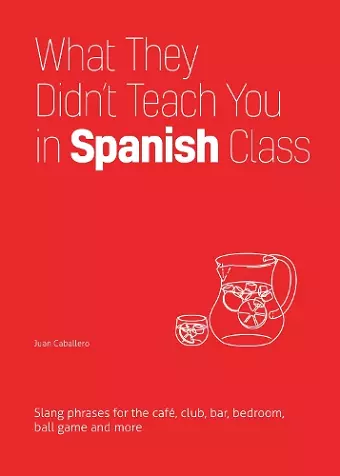 What They Didn't Teach You In Spanish Class cover