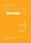 What They Didn't Teach You In German Class cover