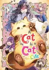 A Cat Is a Cat in Any Life cover
