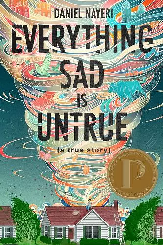 Everything Sad Is Untrue cover