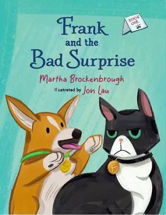 Frank and the Bad Surprise cover