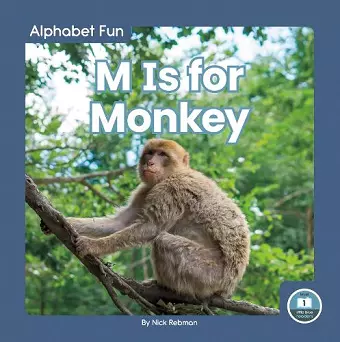 M Is for Monkey cover