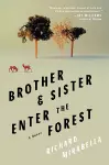 Brother & Sister Enter the Forest cover