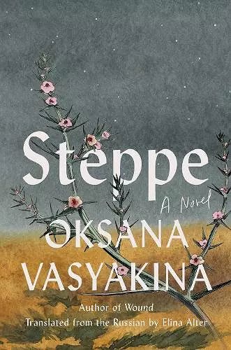 Steppe cover