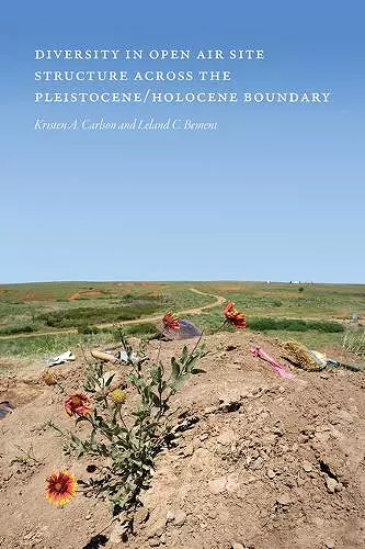 Diversity in Open-Air Site Structure across the Pleistocene/Holocene Boundary cover